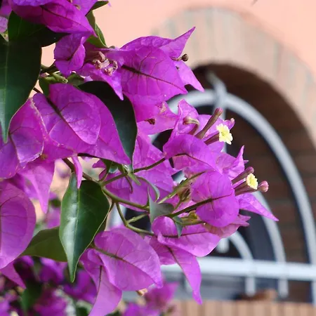 Alloggio per agriturismo Podere Villabassa