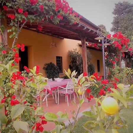 Farm stay Podere Villabassa *
