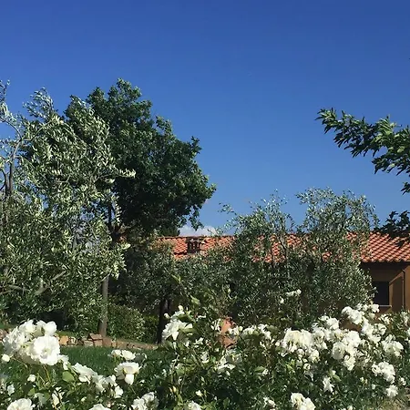 Podere Villabassa *